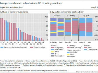 Foreign branches and subsidiaries in BIS reporting countries